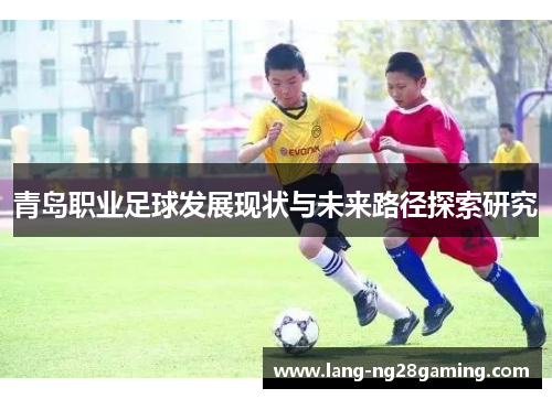 青岛职业足球发展现状与未来路径探索研究
