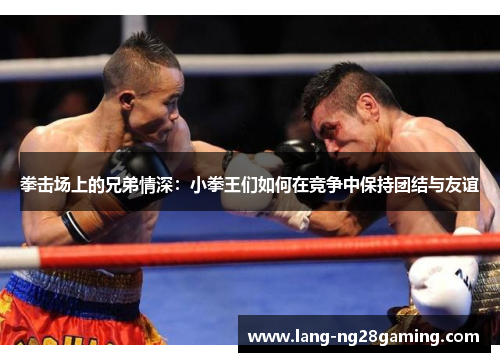 拳击场上的兄弟情深：小拳王们如何在竞争中保持团结与友谊