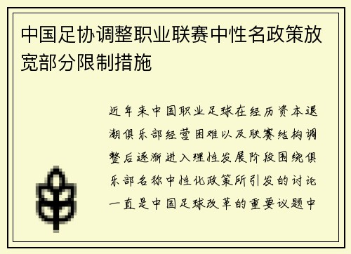 中国足协调整职业联赛中性名政策放宽部分限制措施